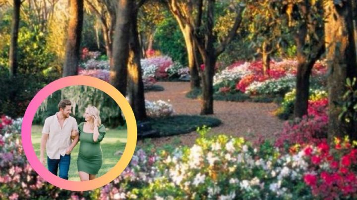 Este es uno de los jardines más bonitos de Estados Unidos; se encuentra en Florida