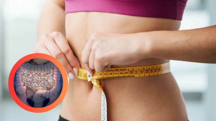 Alimentos que aceleran y frenan el metabolismo: lo que necesitas saber