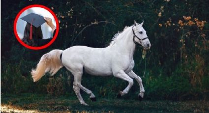 Padre cumple el sueño de su hija en Tamaulipas; llega con caballo a su graduación | FOTOS