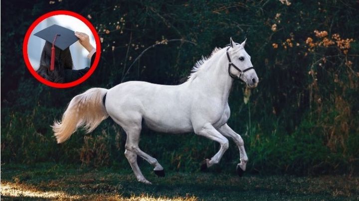 Padre cumple el sueño de su hija en Tamaulipas; llega con caballo a su graduación | FOTOS