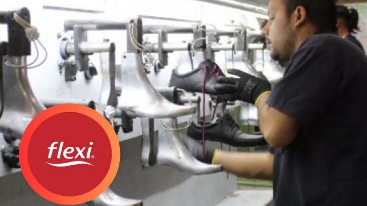 Flexi alerta a clientes por nueva estafa, descubre de qué se trata