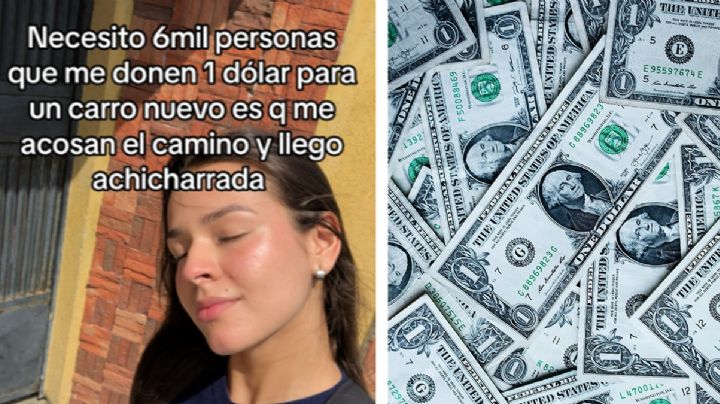TikTokera pidió un dólar a 6 mil personas para comprarse un auto: sus seguidores la sorprenden