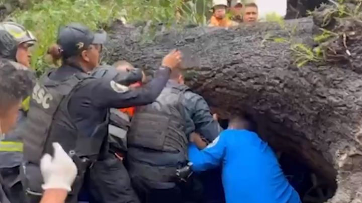 Enorme árbol aplasta a vehículo y muere mujer; esposo y su bebé se salvan de milagro | VIDEO