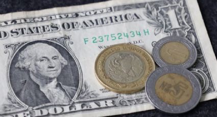 Dólar mantiene buen paso frente al peso: Tipo de cambio dólar HOY 21 de julio del 2024