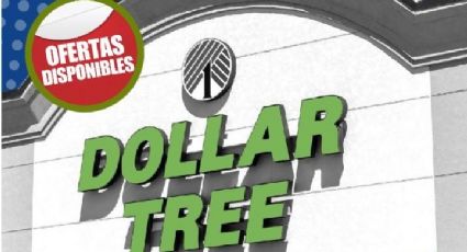 Dollar Tree: 5 productos que sí valen la pena comprar, según expertos