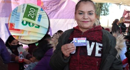 Tarjeta Violeta abre convocatoria: ¿en qué consiste el programa social y quiénes pueden aplicar?