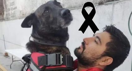 ¡Adiós, héroe!, fallece Marshall, perrito rescatista que apoyó en el sismo de 2017 y huracán Otis