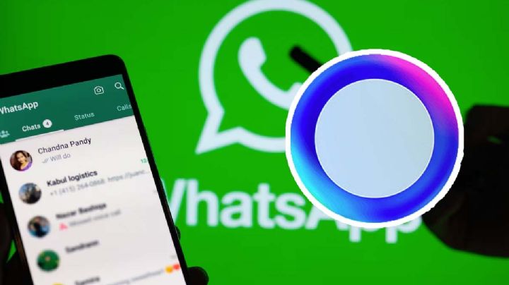 WhatsApp: ¿para qué sirve el círculo azul que aparece en los chats? 
