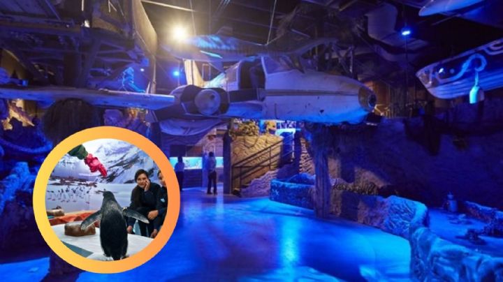 Sealand Monterrey: esto se sabe sobre la apertura del acuario interactivo