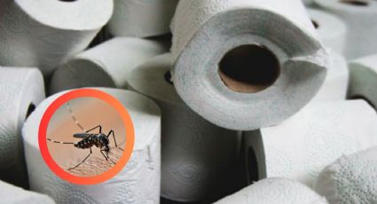 Ingenioso truco del papel de baño, ¡duerme sin mosquitos toda la noche!