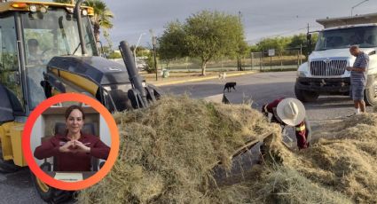 Gobierno Municipal de Nuevo Laredo implementa limpieza y mantenimiento constante en la ciudad