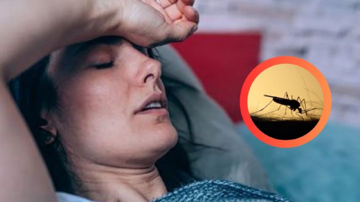 Primeras muertes registradas por fiebre de oropouche; lo que necesitas saber