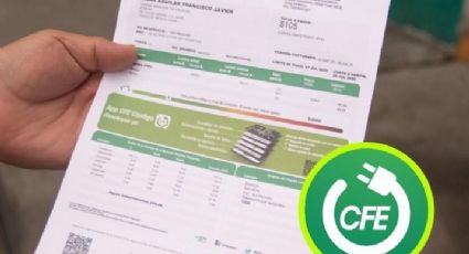 CFE: ¿cómo actualizo mis datos si mi recibo de luz tiene errores?; te lo explicamos paso a paso