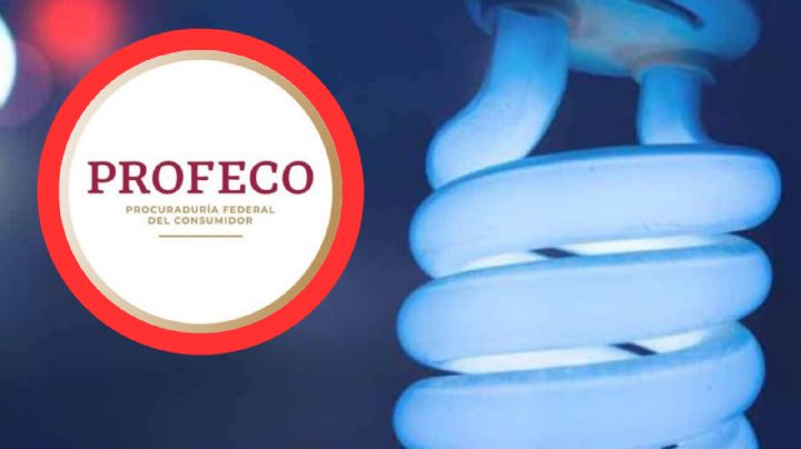 CFE: Con estos focos recomendados por Profeco podrías ahorrar dinero en tu recibo de luz