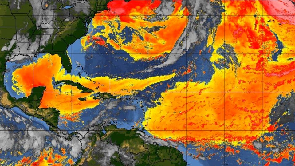 Polvo del Sahara rumbo al noreste de México.