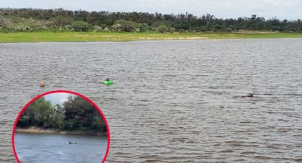 Joven se mete a nadar a presa pero ya no salió; su perro saltó a rescatarlo | VIDEO