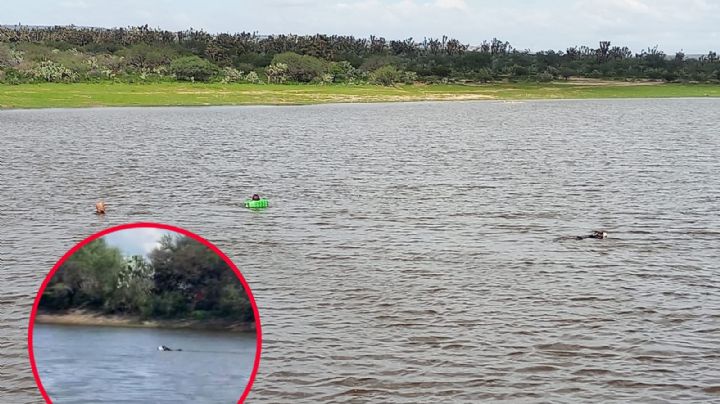 Joven se mete a nadar a presa pero ya no salió; su perro saltó a rescatarlo | VIDEO
