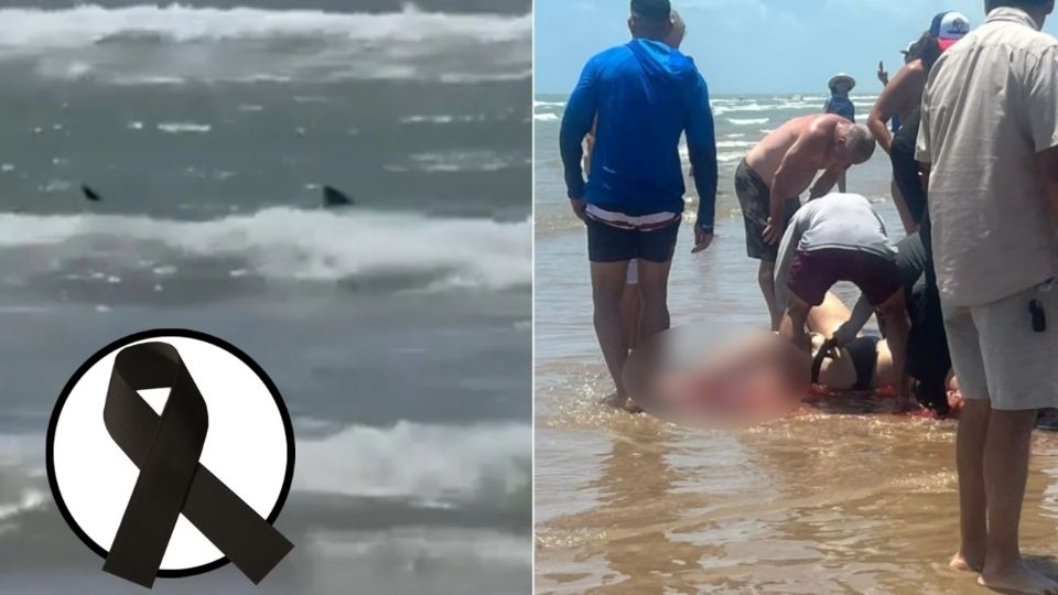 La fémina fue rescatada con vida del sitio, siendo trasladada de urgencia a un hospital, debido a la gravedad de sus heridas en el encuentro con el animal marino