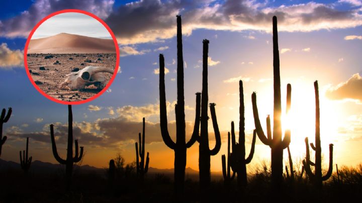 La vida en la región más caliente de México; las temperaturas llegan a los 80 grados