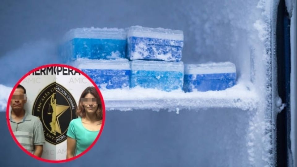 Por su negligente actuar, el menor murió durante sus cuidados, intentando esconder el cuerpo en la nevera, para después deshacerse de él