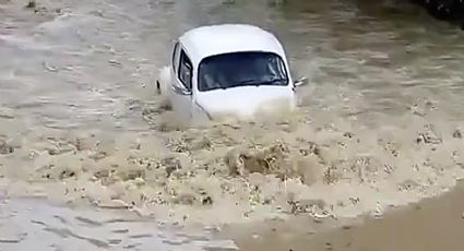 'Vochito' reta a las inundaciones del Huracán Beryl; así le fue | SORPRENDENTE VIDEO