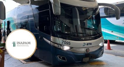 INAPAM: ¿cuáles líneas de autobuses ofrecen descuento en 2024?