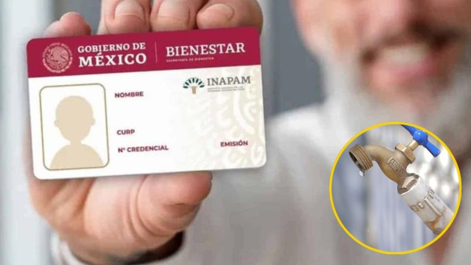 Gracias a los beneficios de la credencial, los abuelitos pueden disfrutar de un costo preferencial en estos servicios básicos