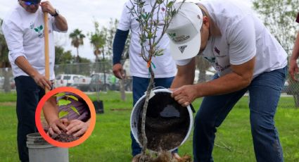 Gobierno Municipal impulsa el medio ambiente con nuevo programa de reforestación