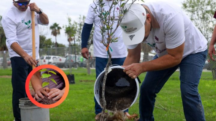 Gobierno Municipal impulsa el medio ambiente con nuevo programa de reforestación