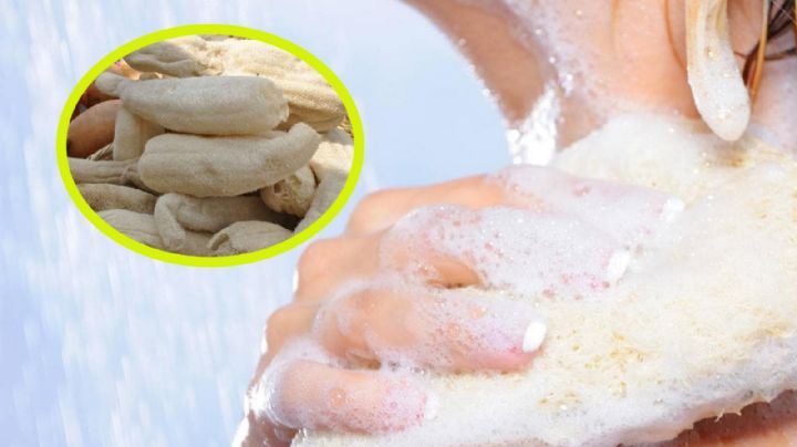Por esta poderosa razón no debes usar esponja o zacate a la hora de bañarte
