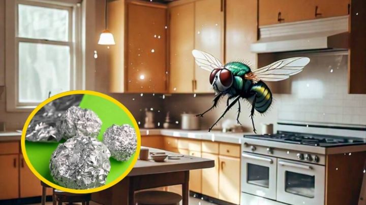 Olvídate de las moscas con el truco de papel aluminio; todas las personas lo están haciendo