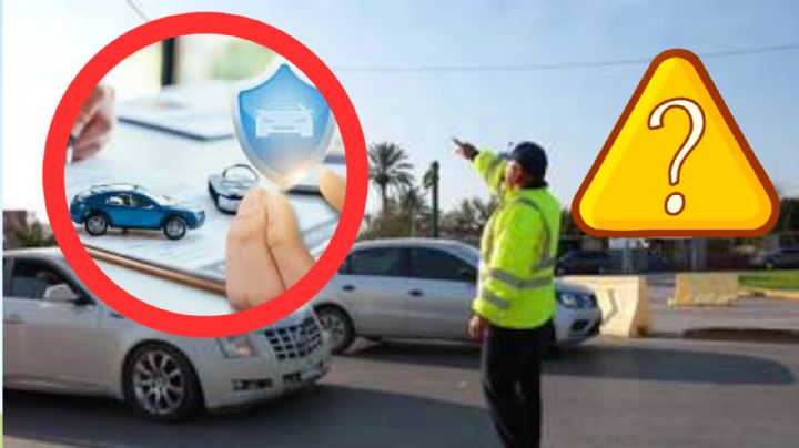 Tamaulipas: ¿me pueden multar por no traer seguro de autos?; esto dice la ley