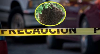 Abuelito muere por picaduras de abejas; intentó salvar a su perro del ataque