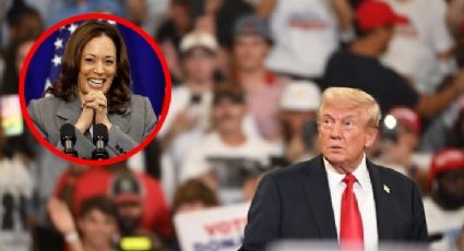 Presidencia de Estados Unidos: neolaredenses prefieren a Donald Trump por encima de Kamala Harris