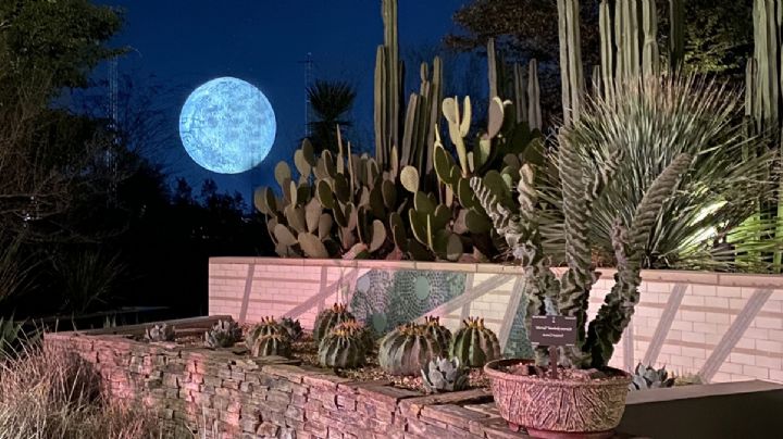 La Superluna Azul 2024: en 48 horas te espera un fenómeno inigualable; así influirá en tu horóscopo