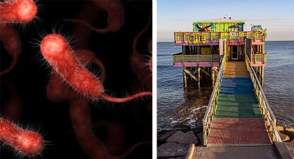 Brote de bacteria carnívora aumenta casos en las playas de Galveston, Texas