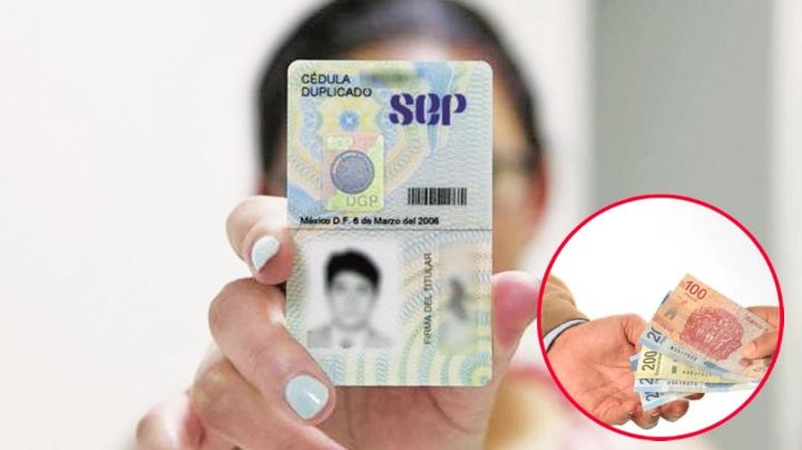 Cédula Profesional: ¿cuál es el costo para tramitarla en agosto 2024?