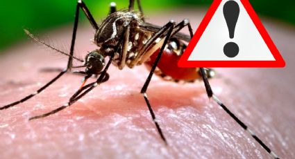 Alerta por Dengue en este estado, hay más de 2 mil casos confirmados y va a la alza