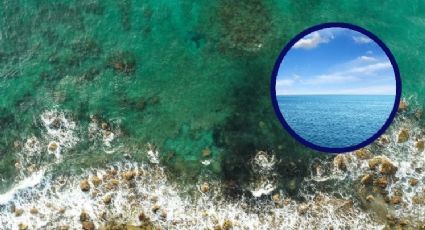 Expertos advierten que el agua del mar se está volviendo verde por esta razón