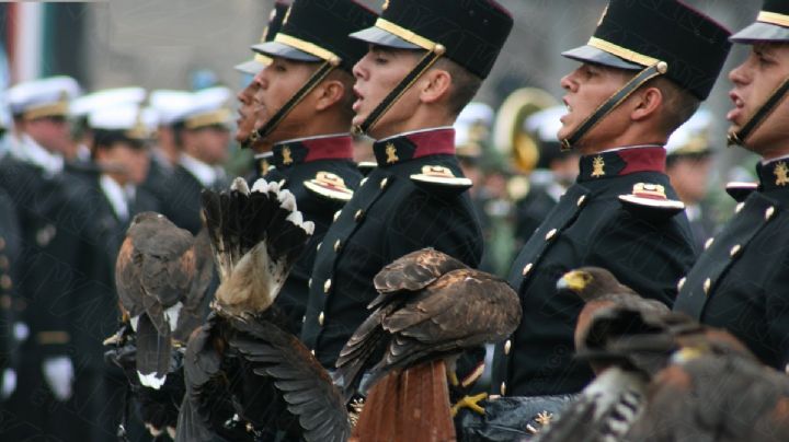 Confirmado: cambian día feriado y habrá nuevo fin de semana largo en septiembre
