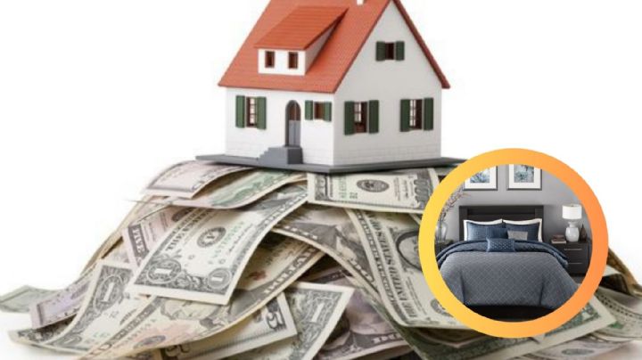 Coloca esta planta debajo de tu cama y atrae dinero al instante, según el Feng Shui