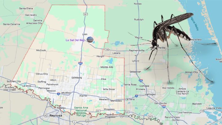 Virus del Nilo llega a la frontera: identifican casos en el Condado de Hidalgo, Texas