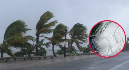 Huracán Debby golpea Florida; provoca 'inundaciones catastróficas' y la evacuación en la zona del Golfo