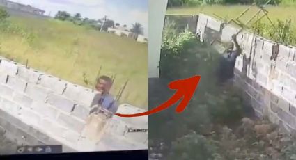 Manada de pitbulls ataca a hombre que se metió a casa | VIDEO