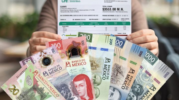 Bienestar: ¿cómo obtener mil 250 pesos para pagar el recibo de luz?