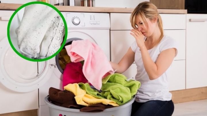 Con este truco eliminarás hongos y humedad en tu ropa; quedará como nueva