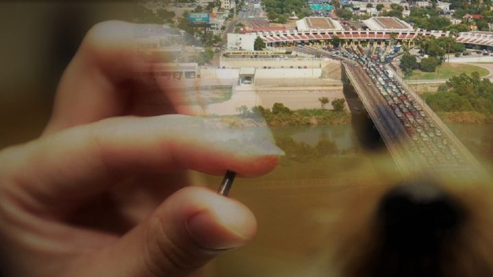 ¿Cuánto cuesta un microchip para que puedas cruzar la frontera con tu mascota?