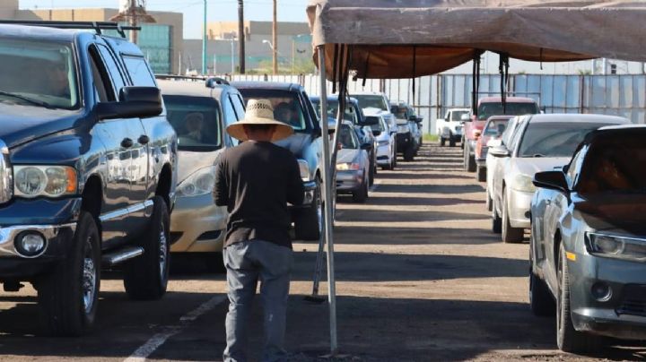 Autos chocolate: ¿mantendrá Claudia Sheinbaum programa de importación?; esto se sabe