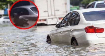 Hombre arriesga su vida para tratar de salvar a mujer de inundación | VIDEO