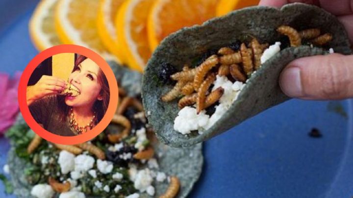 De la tierra a la mesa: ¿Cuáles son los insectos que se comen en México?